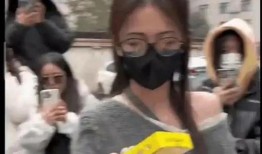 最新吃瓜爆料酒店事件视频,最新吃瓜细节揭秘