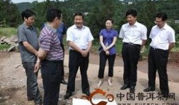 罗村爆料新闻最新情况,事件进展及影响深度解析