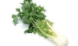 爆料人酒仙小芹菜视频,揭秘娱乐圈惊人内幕