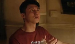 虚伪爆料大结局视频完整版,大结局揭秘，真相与反转的终极对决